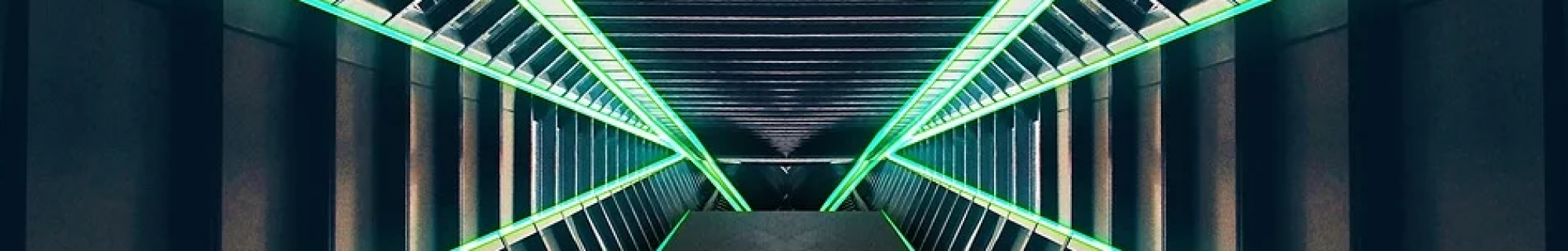 All About Bernice Lee